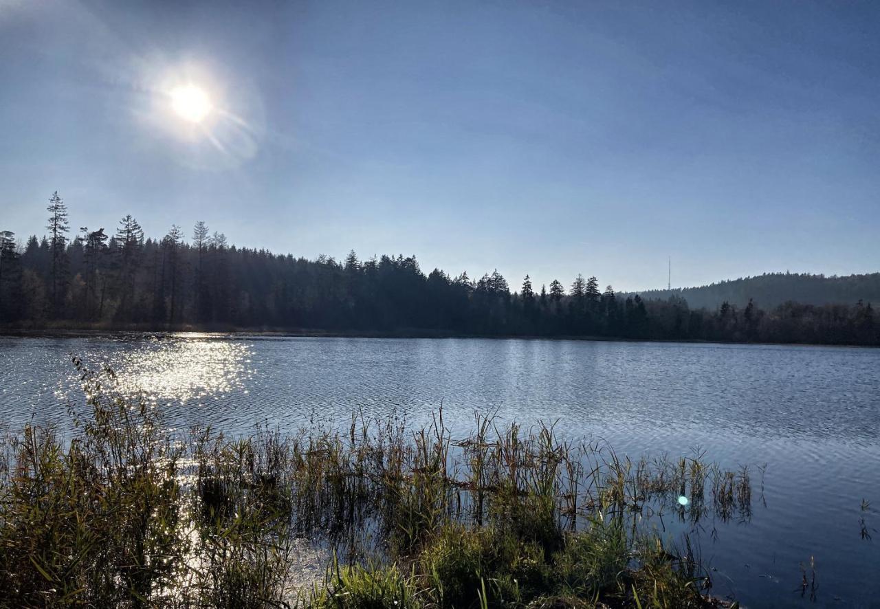 U Prokopu Villa Telč Exteriör bild